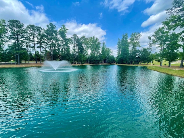 1559 Wendell Valley Blvd, Wendell, NC 27591 - water view