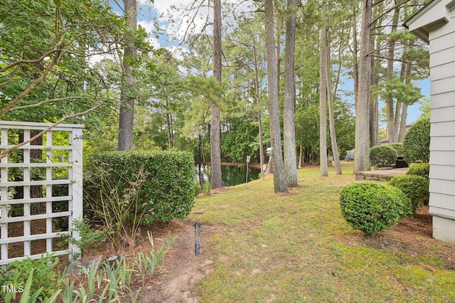 202 Cottage Ln, Durham, NC 27713 - photo 34