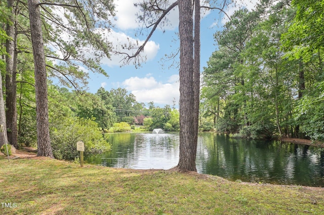 202 Cottage Ln, Durham, NC 27713 - photo 29