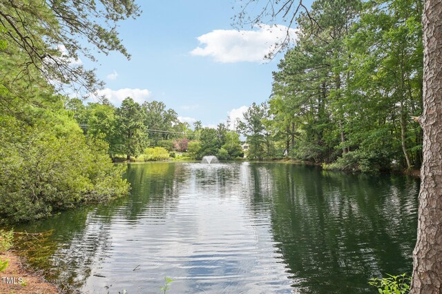 202 Cottage Ln, Durham, NC 27713 - photo 28