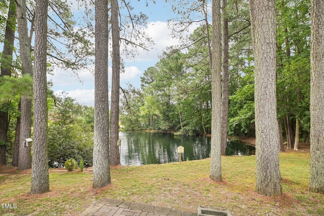 202 Cottage Ln, Durham, NC 27713 - photo 30