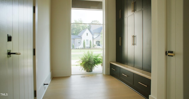 1620 Hunting Ridge Rd, Raleigh, NC 27615 - mudroom featuring light wood-style flooring and healthy amount of natural light
