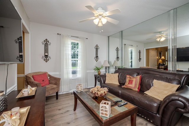 205 Cedar Dr, Zebulon, NC 27597 - photo 20