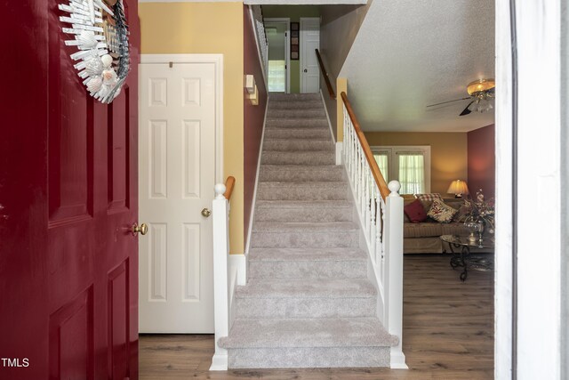 205 Cedar Dr, Zebulon, NC 27597 - photo 21