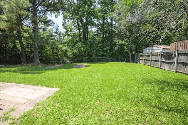 205 Cedar Dr, Zebulon, NC 27597 - photo 25