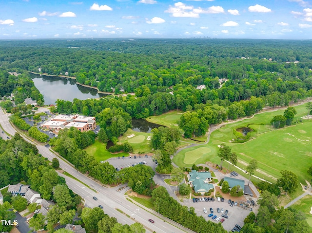 203 Crickentree Dr, Cary, NC 27518 - photo 56