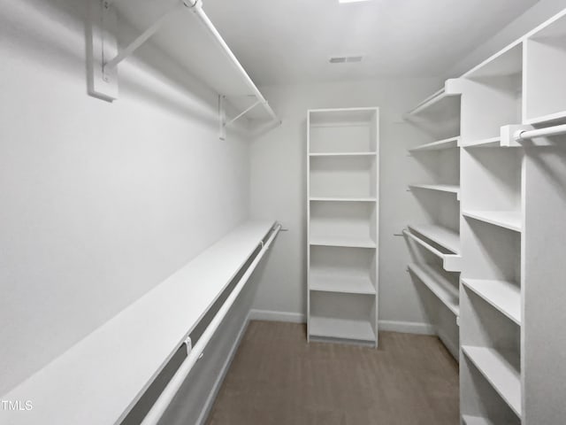 2408 Tiltonshire Ln, Apex, NC 27539 - spacious closet featuring carpet floors