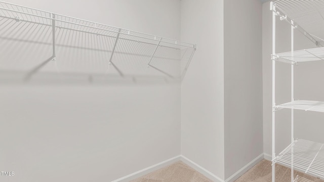 120 Leven Dr, Gibsonville, NC 27249 - walk in closet featuring carpet flooring