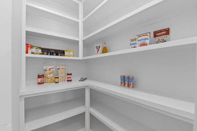 505 Colleton Rd, Raleigh, NC 27610 - view of pantry