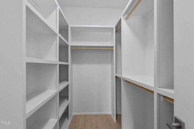 505 Colleton Rd, Raleigh, NC 27610 - spacious closet with light wood finished floors
