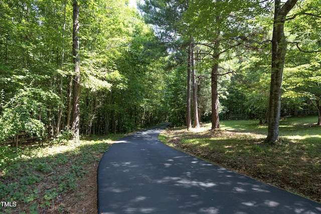 267 Bald Eagle Dr, Pittsboro, NC 27312 - view of street featuring a wooded view