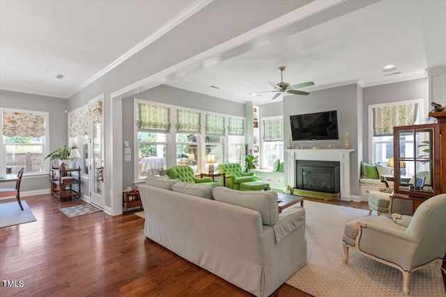 1217 Clandon Square Rd, Hillsborough, NC 27278 - living area with a glass covered fireplace, dark wood-type flooring, ornamental molding, ceiling fan, and recessed lighting
