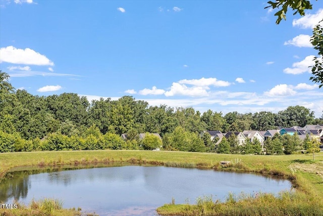 1217 Clandon Square Rd, Hillsborough, NC 27278 - water view
