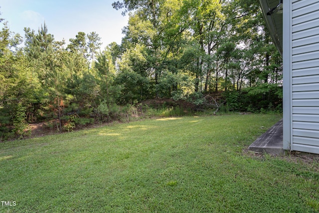 3603 Grimes Ave, Durham, NC 27703 - view of grassy yard