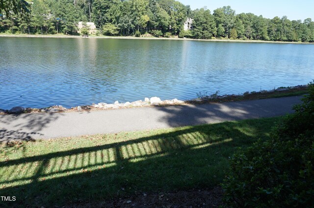 222 E Wind Ln, Cary, NC 27518 - photo 46