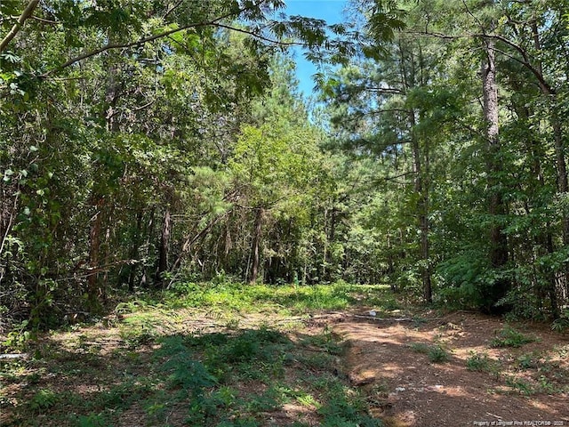 Tarrytown Rd, Fayetteville, NC 28314 - photo 3