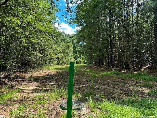 Tarrytown Rd, Fayetteville, NC 28314 - photo 5