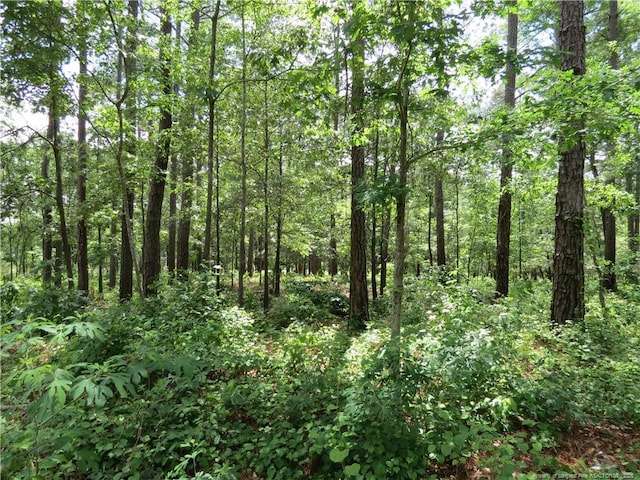 0 Knollwood Ln, Broadway, NC 27505