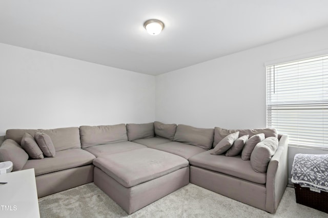 444 Campbell Ridge Pl, Wendell, NC 27591 - view of carpeted living area