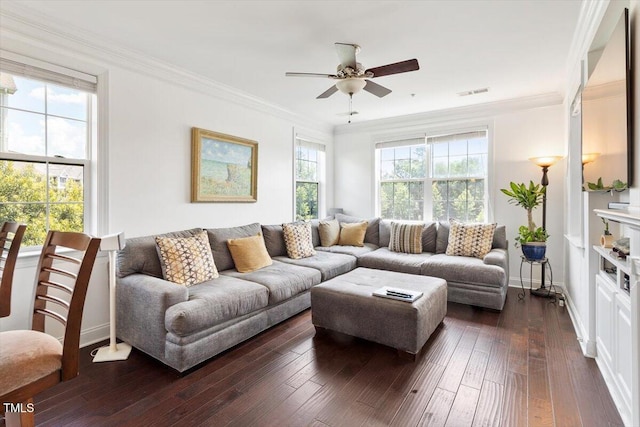 10511 Rosegate Ct Unit 103, Raleigh, NC 27617 - living room with ceiling fan, dark wood finished floors, and ornamental molding