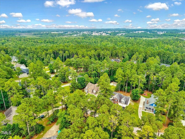39 Westover Ct, Sanford, NC 27332 - photo 43