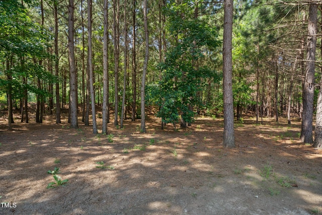 170 Lothian, Rocky Mount, NC 27804 - photo 33