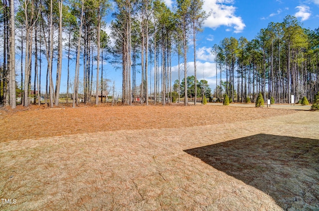 LOT84 Twin Oaks Ln, Littleton, NC 27850 - photo 50