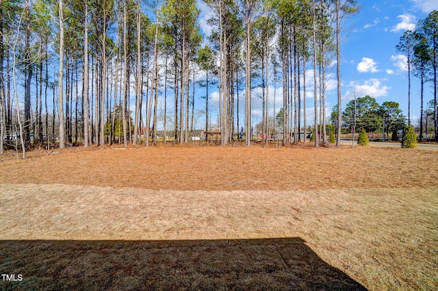 LOT84 Twin Oaks Ln, Littleton, NC 27850 - photo 51