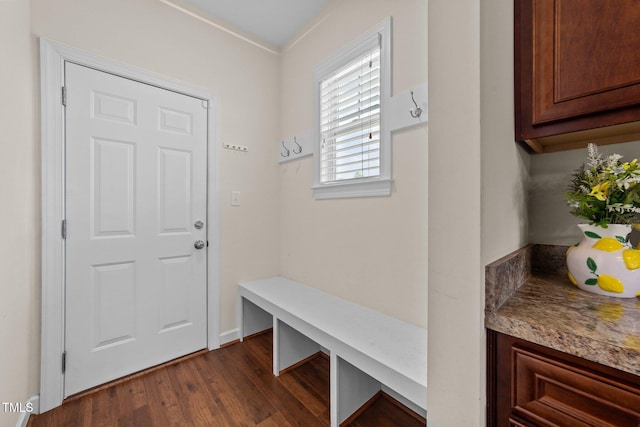16 Woodglen Dr, Clayton, NC 27527 - mudroom featuring dark wood-style floors