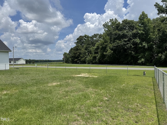 3005 Condor Ct, Deep Run, NC 28525 - view of yard