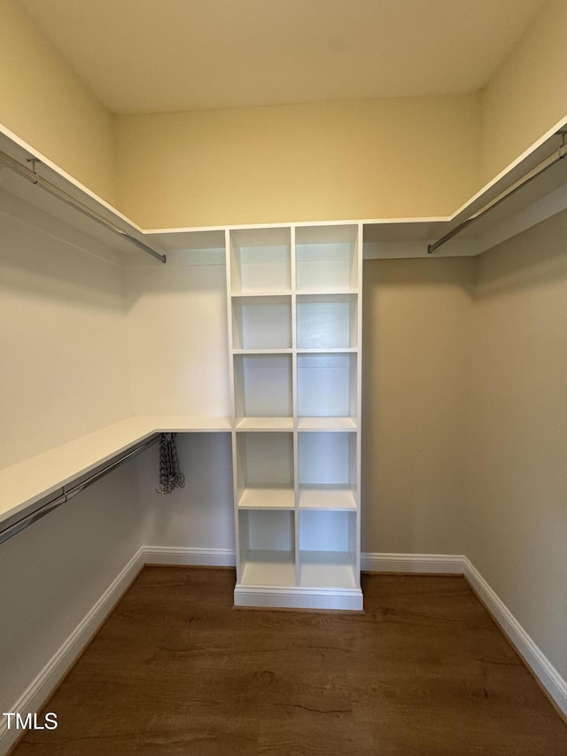 3005 Condor Ct, Deep Run, NC 28525 - walk in closet featuring wood finished floors