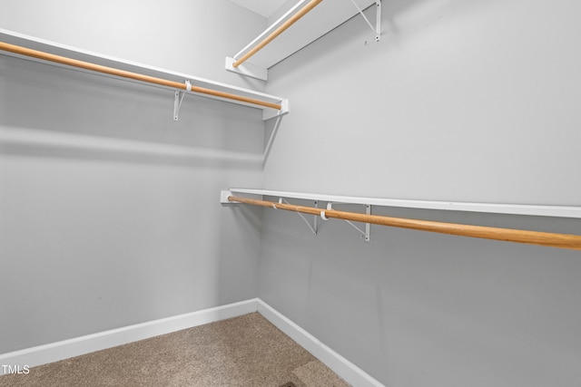 741 Rockville Rd, Wake Forest, NC 27587 - walk in closet with carpet flooring