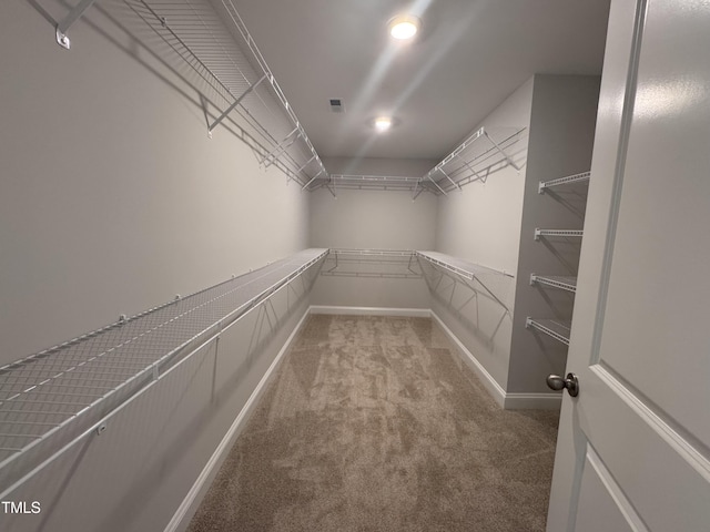 3509 Bailey Lake Dr, Fuquay Varina, NC 27526 - walk in closet with carpet