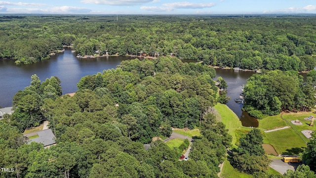 276 Sagamore Dr, Louisburg, NC 27549 - bird's eye view of a heavily wooded area and a nearby body of water
