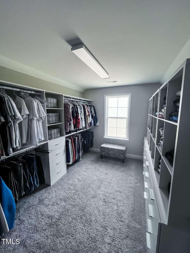 192 Waterpine Dr, Garner, NC 27529 - walk in closet featuring carpet floors