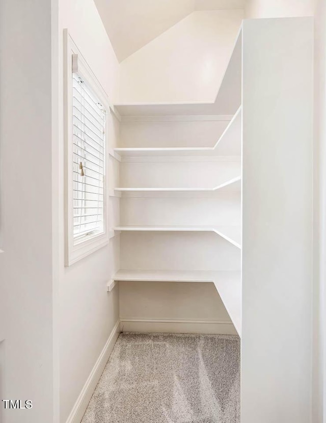 610 Bennett Mtn, Chapel Hill, NC 27516 - view of storage area