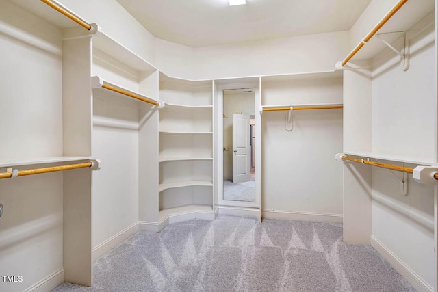 610 Bennett Mtn, Chapel Hill, NC 27516 - walk in closet with carpet floors