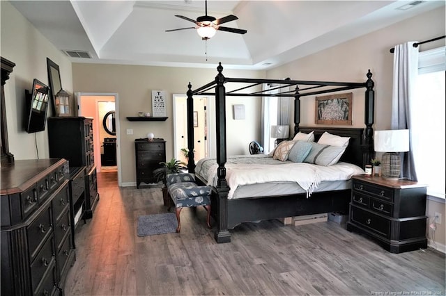 930 Old Vander Rd, Fayetteville, NC 28312 - bedroom with multiple windows, wood finished floors, a tray ceiling, and a spacious closet
