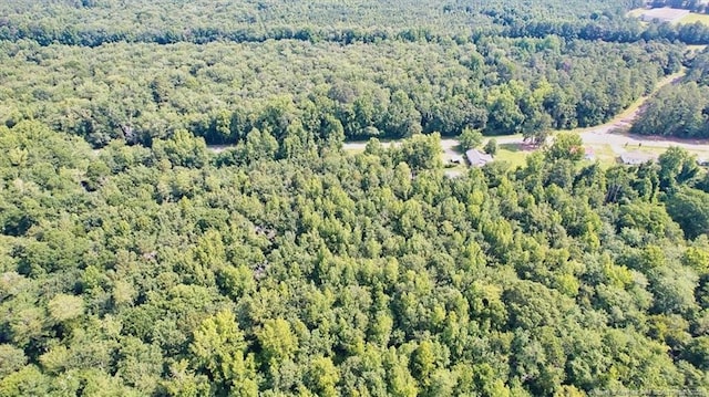 20920 Old Lumberton Rd, Maxton, NC 28364 - photo 10