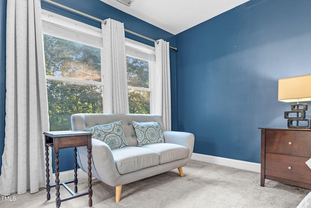 3650 Pleasants Ridge Dr, Wake Forest, NC 27587 - photo 35