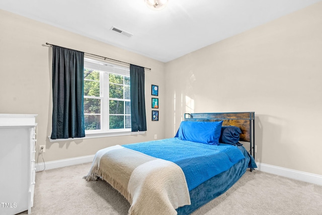 3650 Pleasants Ridge Dr, Wake Forest, NC 27587 - photo 45