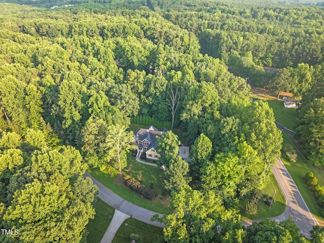 3650 Pleasants Ridge Dr, Wake Forest, NC 27587 - photo 65