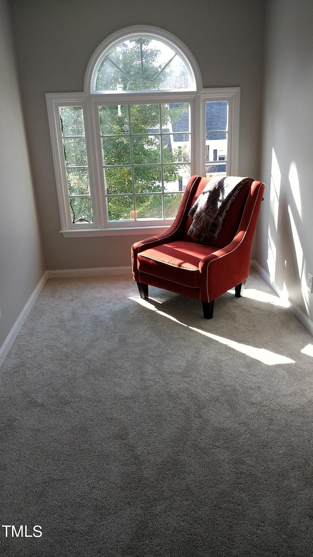 3109 Benton Cir, Raleigh, NC 27615 - photo 21