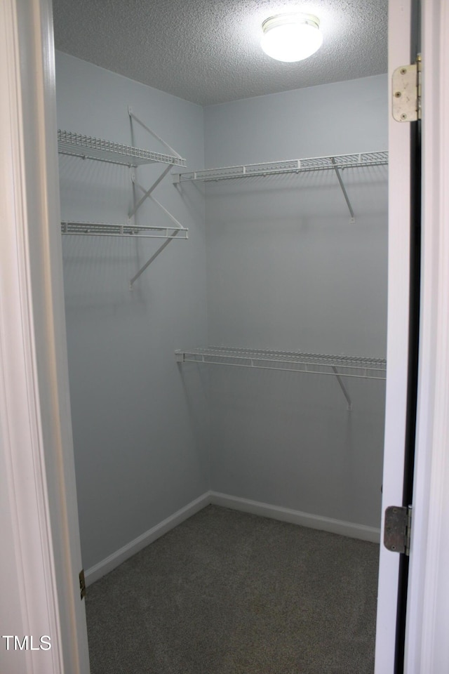 3109 Benton Cir, Raleigh, NC 27615 - photo 33