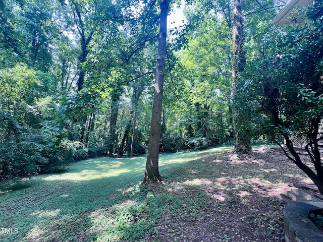 5257 Vann St, Raleigh, NC 27606 - photo 24