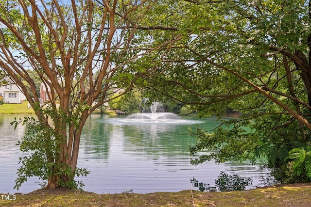 5125 Pinehall Wynd, Raleigh, NC 27604 - water view