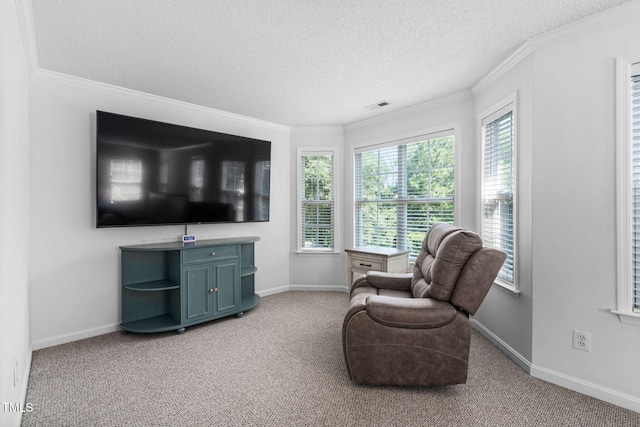 5125 Pinehall Wynd, Raleigh, NC 27604 - living area featuring a textured ceiling, crown molding, and carpet floors
