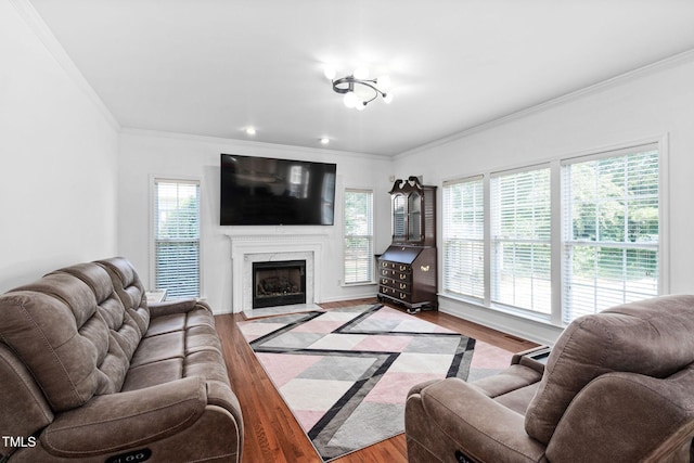 5125 Pinehall Wynd, Raleigh, NC 27604 - living area featuring ornamental molding, wood finished floors, and a fireplace