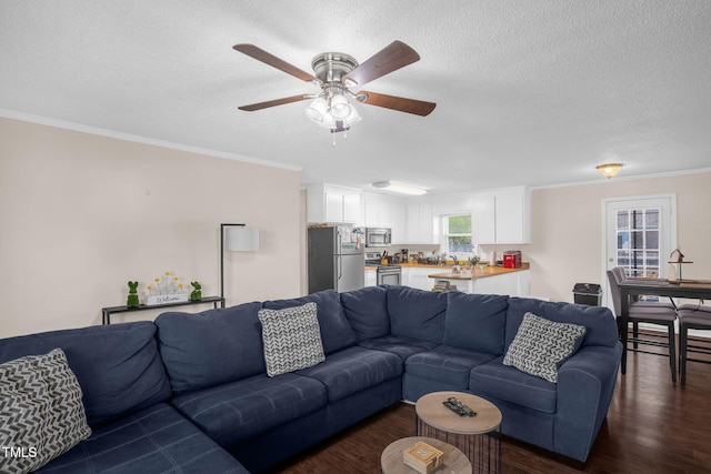 117 James Dr, Pine Level, NC 27568 - living room with a textured ceiling, ceiling fan, dark wood-style floors, and crown molding