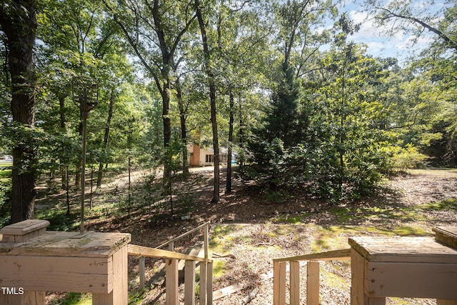 900 Beaman St, Clinton, NC 28328 - view of yard